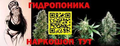 гашишное масло Будённовск