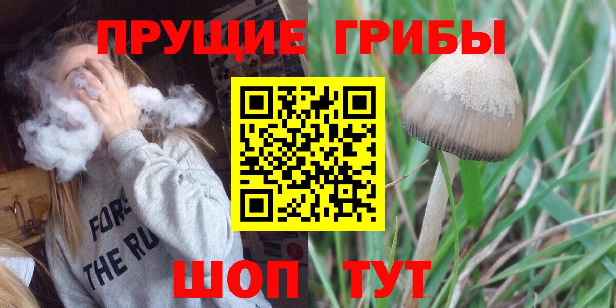 Псилоцибиновые грибы ЛСД  Вход с VPN  Сибай 